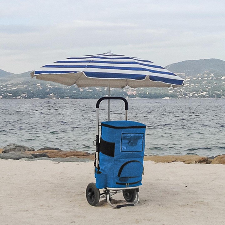 Chariot à roulettes 3 en 1 pour la mer